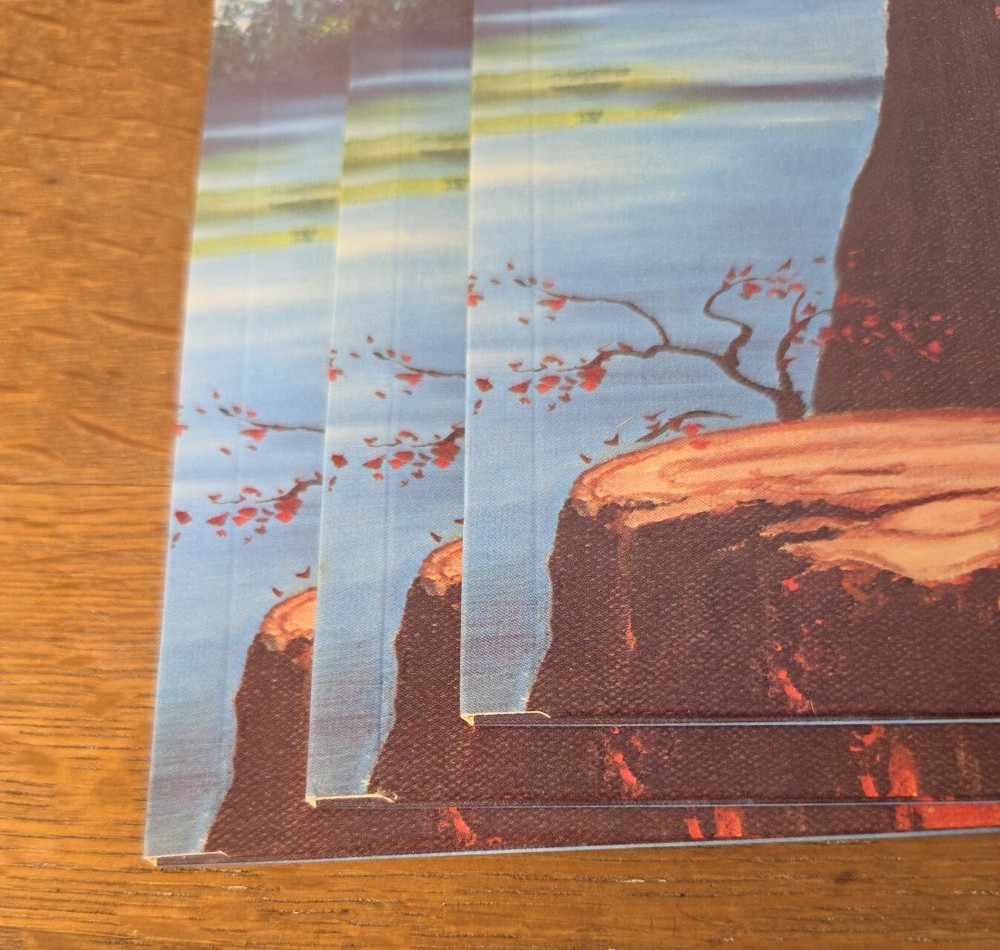 Vtg Smokey the Bear Color Folder 1977 Briefolio Forest Fire Prevention Program