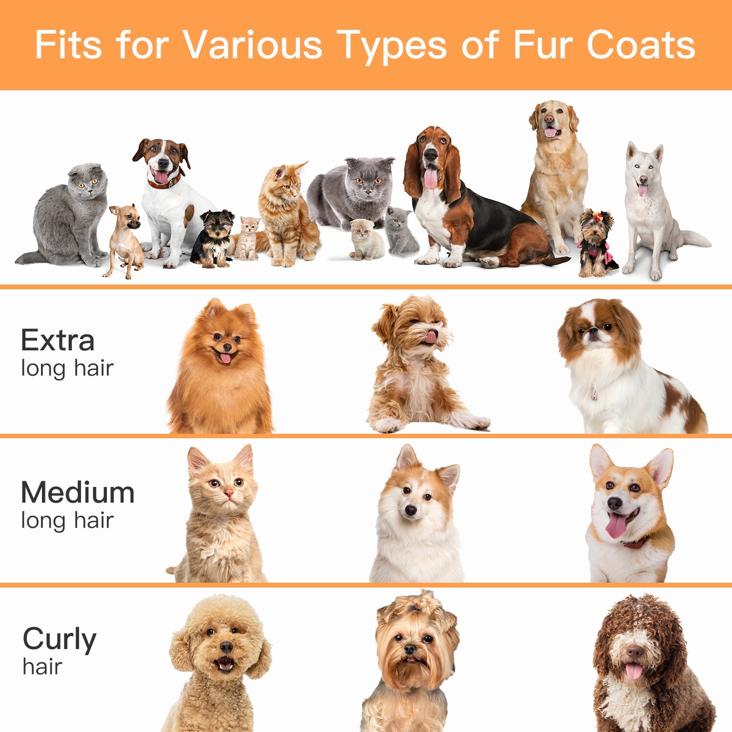 AIRROBO PG100 Pet Grooming Vacuum & 5 Grooming Tools, 12000Pa Suction Power New