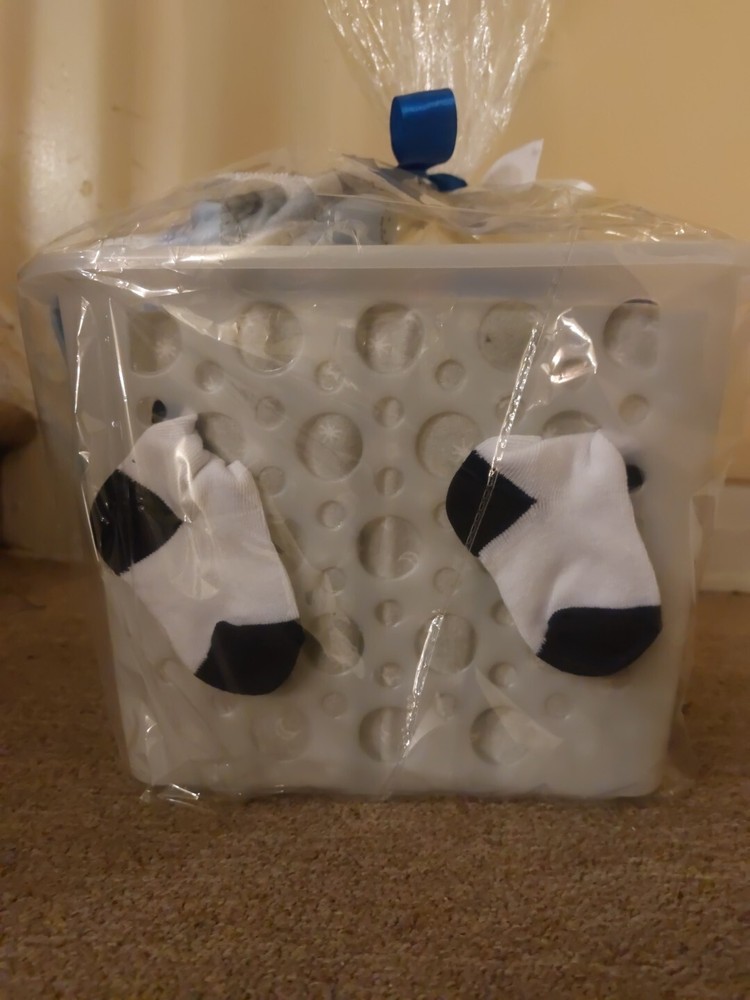 Baby Shower Basket