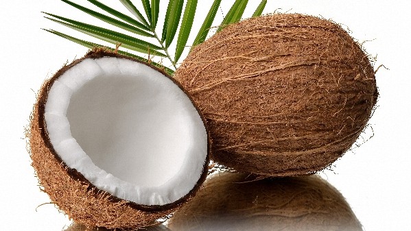 4 oz Candle Scent Oil-COCONUT