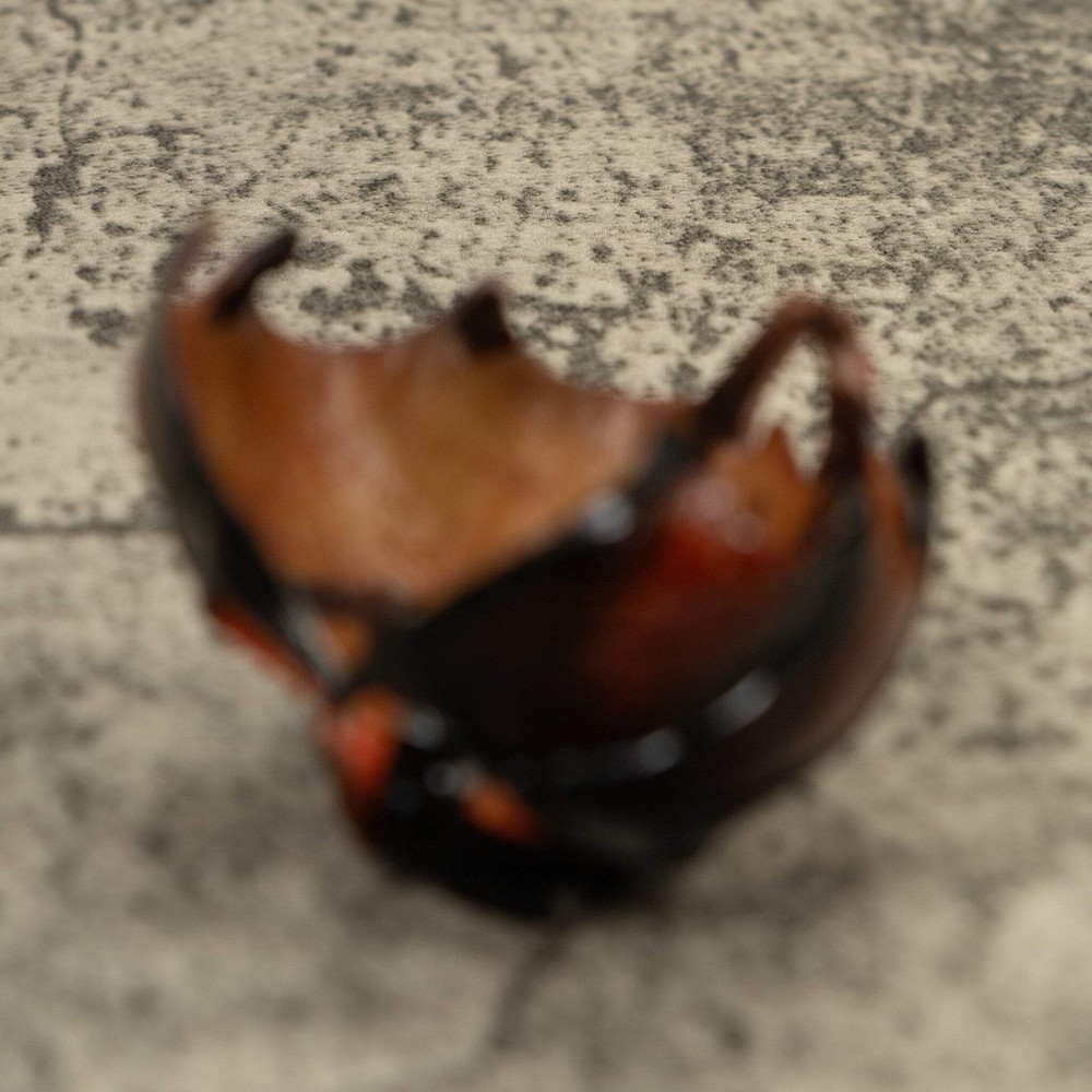 Vampire Bat Bird Tagua Carving