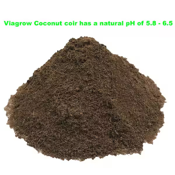 NEW 100% Coconut Coir Block of Soilless Media 11 Lb. (5KG) Retail Nutrients