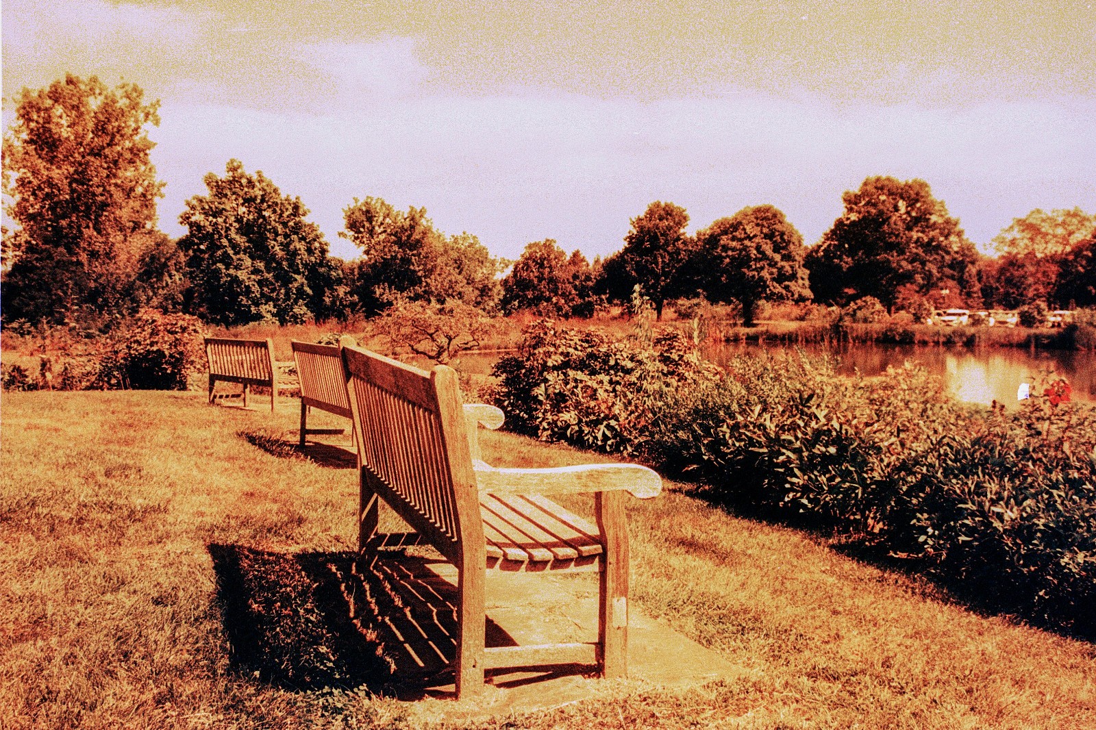 THE MARS PROJECT - BRAND NEW 35mm Color Negative Film 80 ISO - Experimental Fun