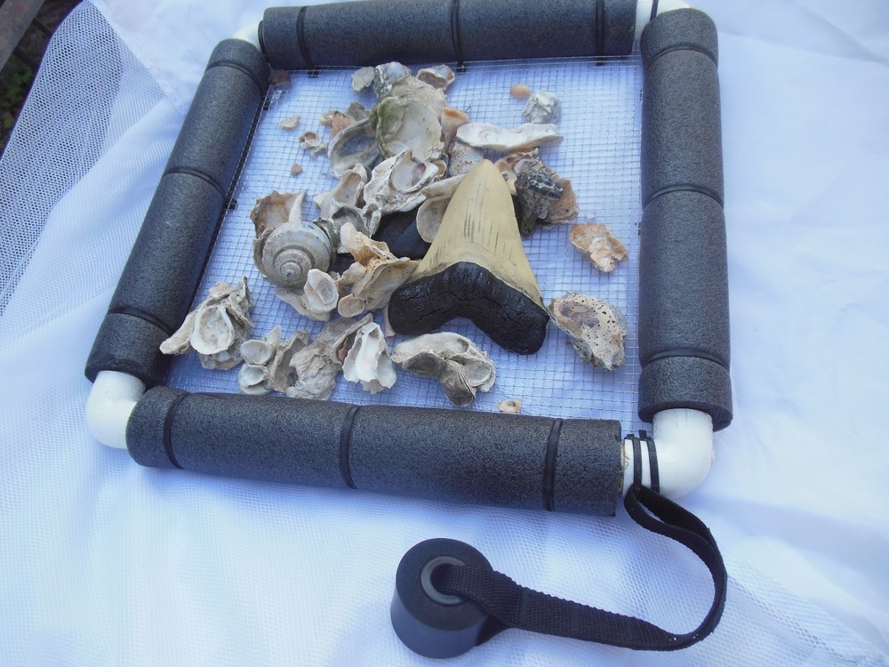 Floating Sifter Shark teeth/ Fossils/ Gems Small