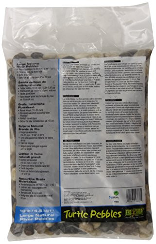 Turtle Pebbles, Large