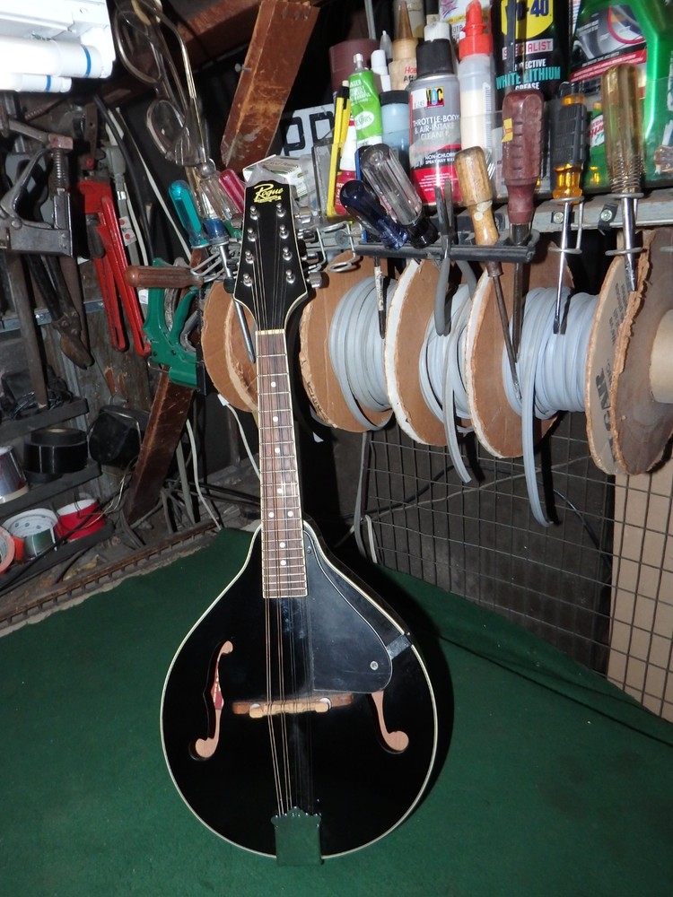 Rogue RM-100A A-Style Mandolin - Black