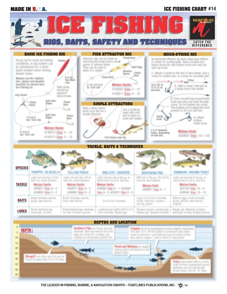 Fishermen's Saltwater Fish Identification Set - Waterproof Quick Reference Guide