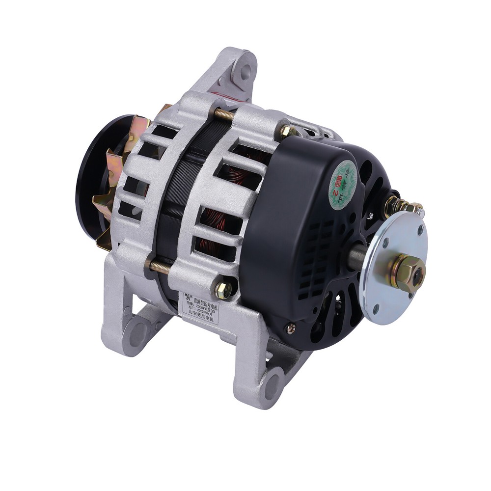 2000W Permanent Magnet Synchronous Generator DC 24V Dual Wheel Generator Copper