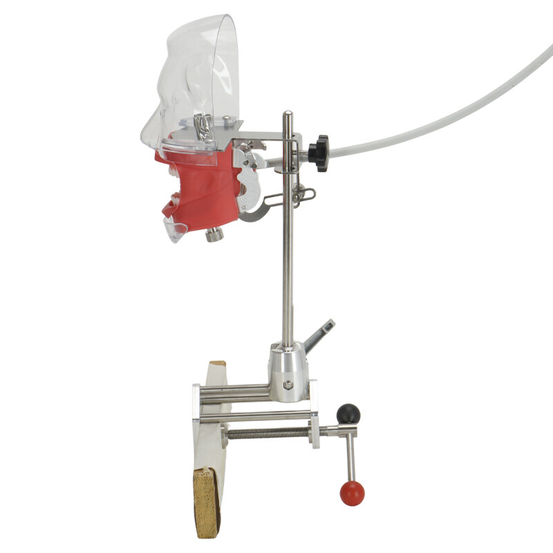 Dental Simulator Manikin Phantom Head Model Teeth Model for Training & Practice