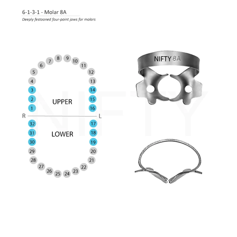 Rubber Dam Clamps Molars General