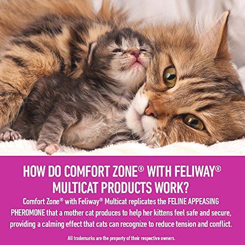 Comfort Zone Multicat Diffuser Kit for Cat Calming