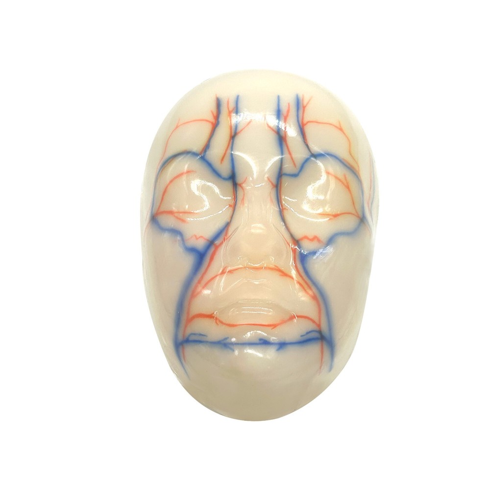 Facial Micropigmentation Practice Models, Realistic Imitation Human Skin Reused