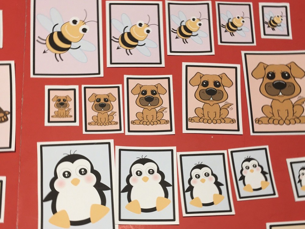 Laminated Sorting Cards - Size Sorting - 40 Cards Set