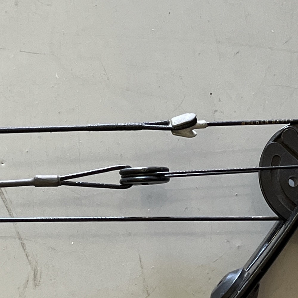 Golden Eagle Super Hawk Compound Bow