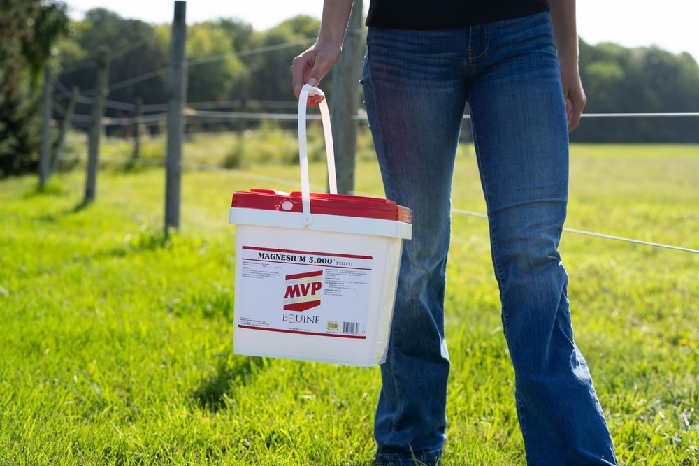 Magnesium 5000 for Horses - Calm, Boost Metabolism, Support Muscle Function
