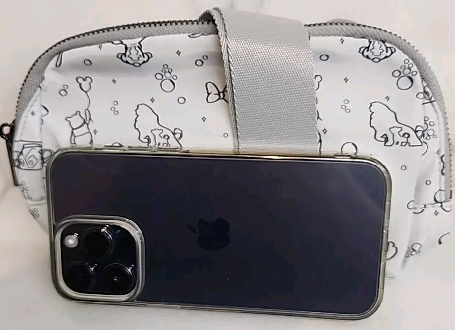 Walt Disney World (Inspired) Mickey & More - Fanny Pack/ Crossbody Bag Free Ship