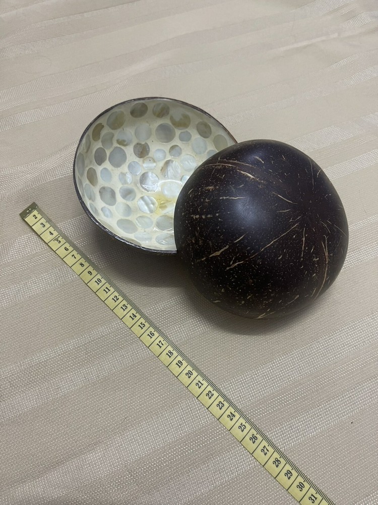 Hand Painted Coconut Shell Bowl 5.25" Diameter