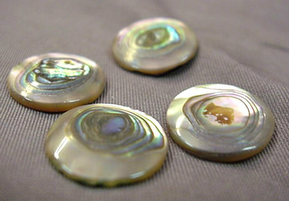 ABALONE CAPS FOR GUITAR KNOB REPAIRS OR MAKING