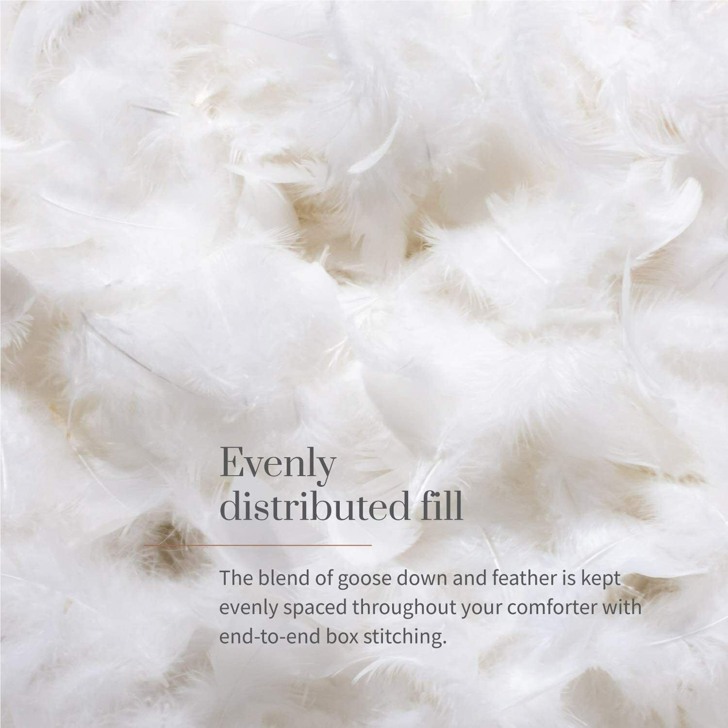Everspread Essential Goose Down Comforter Duvet Insert, Lightweight,Cotton Shell