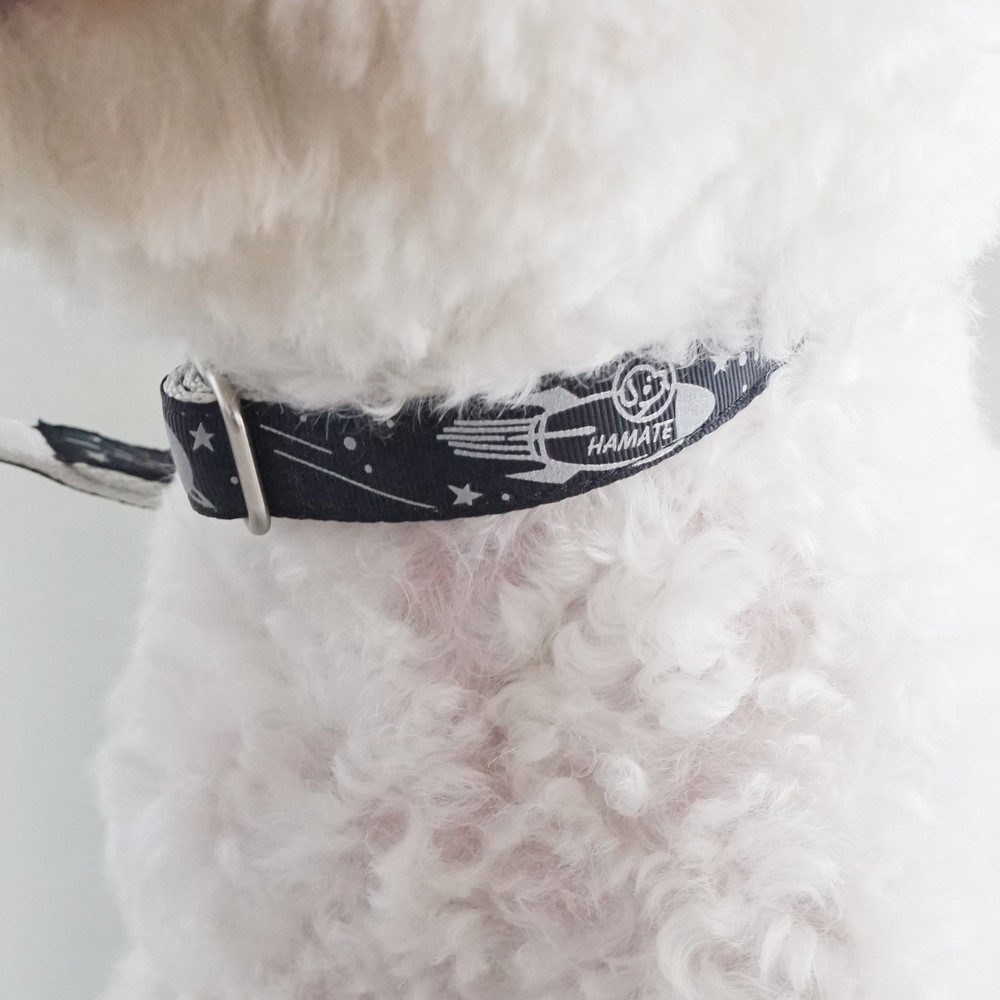 Dog Collar - HAMATE