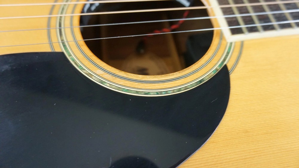 Morris W-40 Japan Solid Spruce Top w/ Fishman Electronics