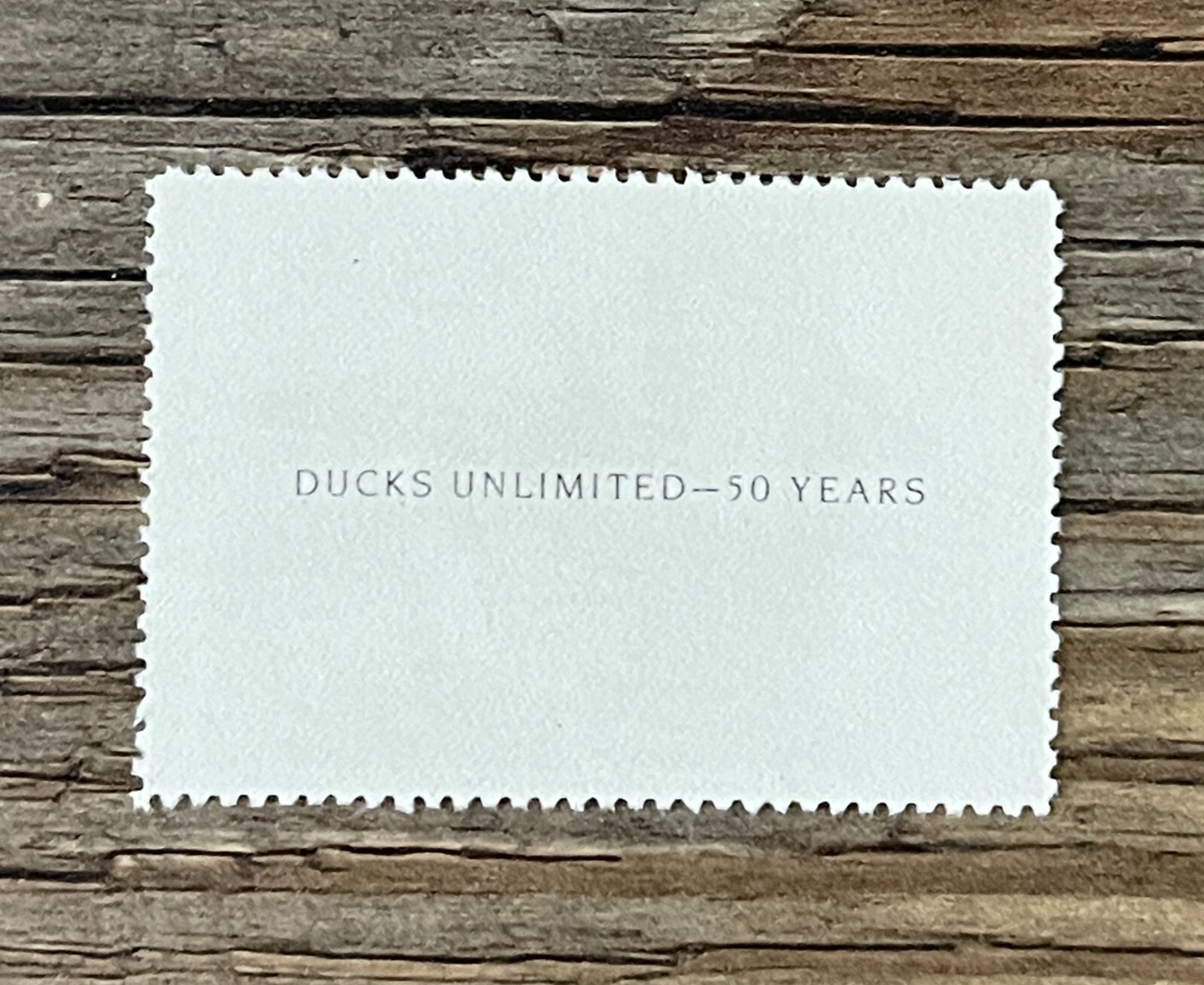 WTDstamps - 1987 GEORGIA - LotP - State Duck Stamp - Mint OG NH