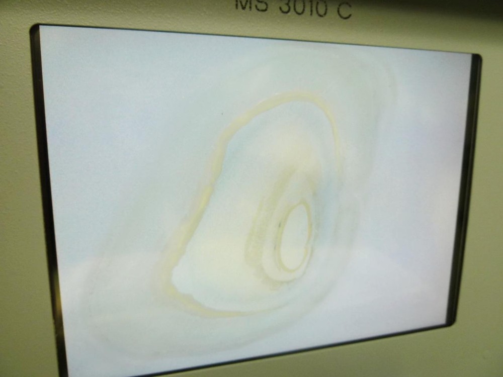 Maxwell Systems MS 3010 C Vintage Portable / Mobile computer