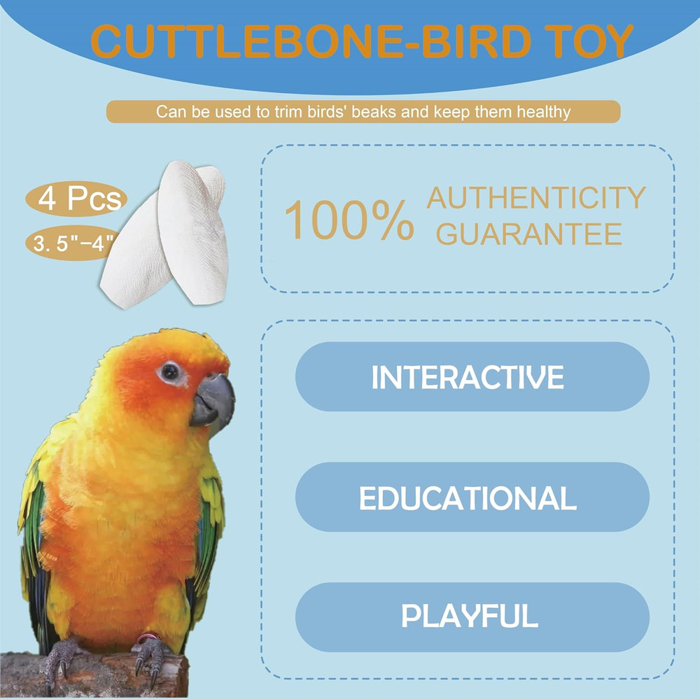3.5"-4" Cuttlebone for Birds Parakeets, Cuddle Bone with Metal Clip, Cuttlefish