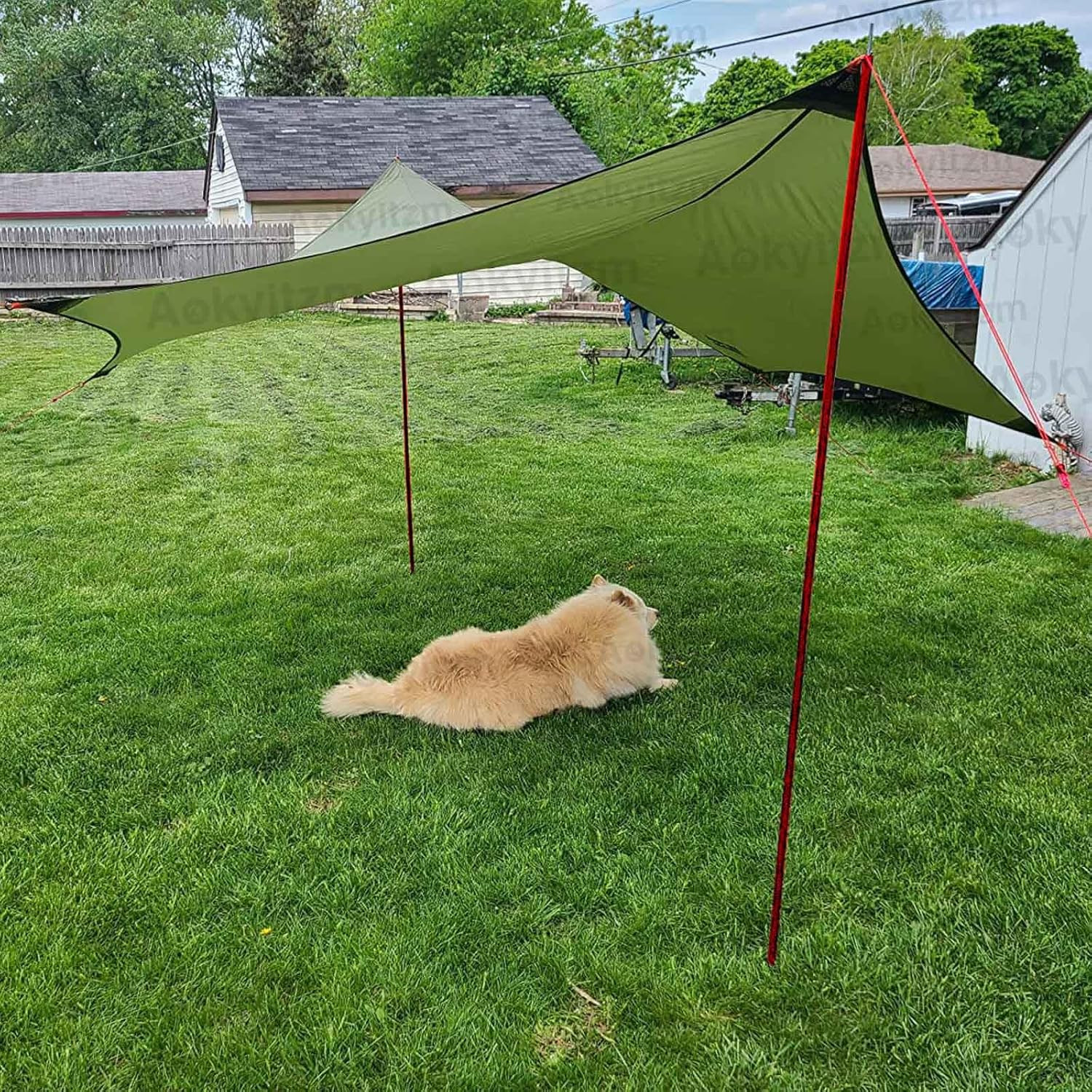 Tent Poles,Adjustable Portable Tent Poles-74.8" Sturdy and Durable Rustproof Thi