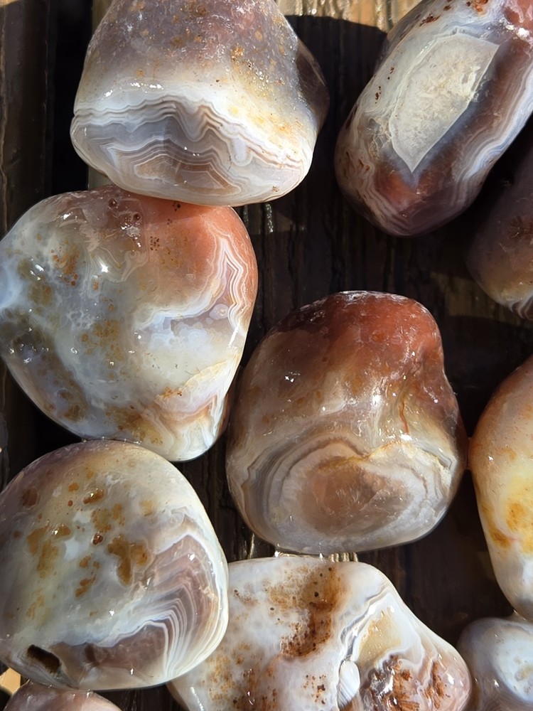Botswana Agate Selects - SETTING SUN - Rough, Natural, Not Polished A+ Grade