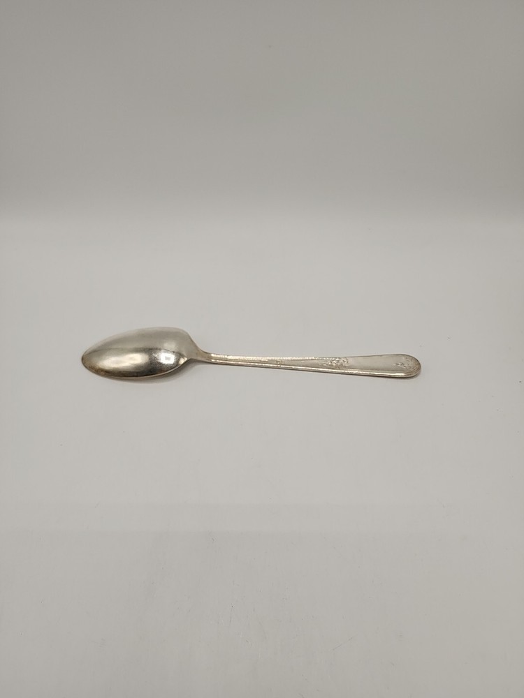 International Silver "Youth" 8 1/2 Inch Serving Spoon