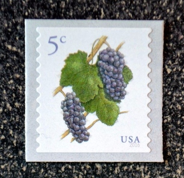 2016USA #5038 5c Grapes - Coil Single  Mint  NH    grape