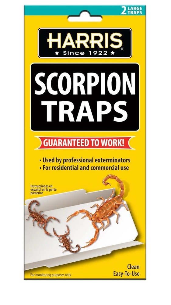 Harris Scorpion Glue Traps (2-Pack) SCTRP