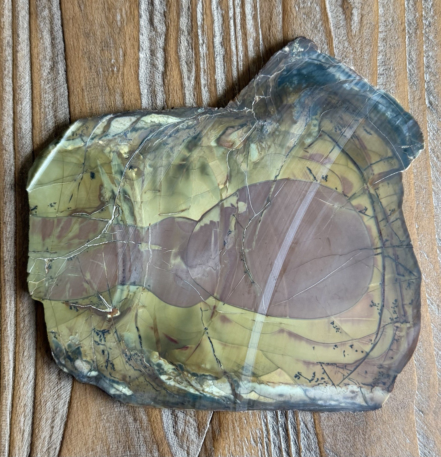 Colorful Morrisonite Jasper Polished Slab Jake’s Place Orby Dendrites Oregon 7oz