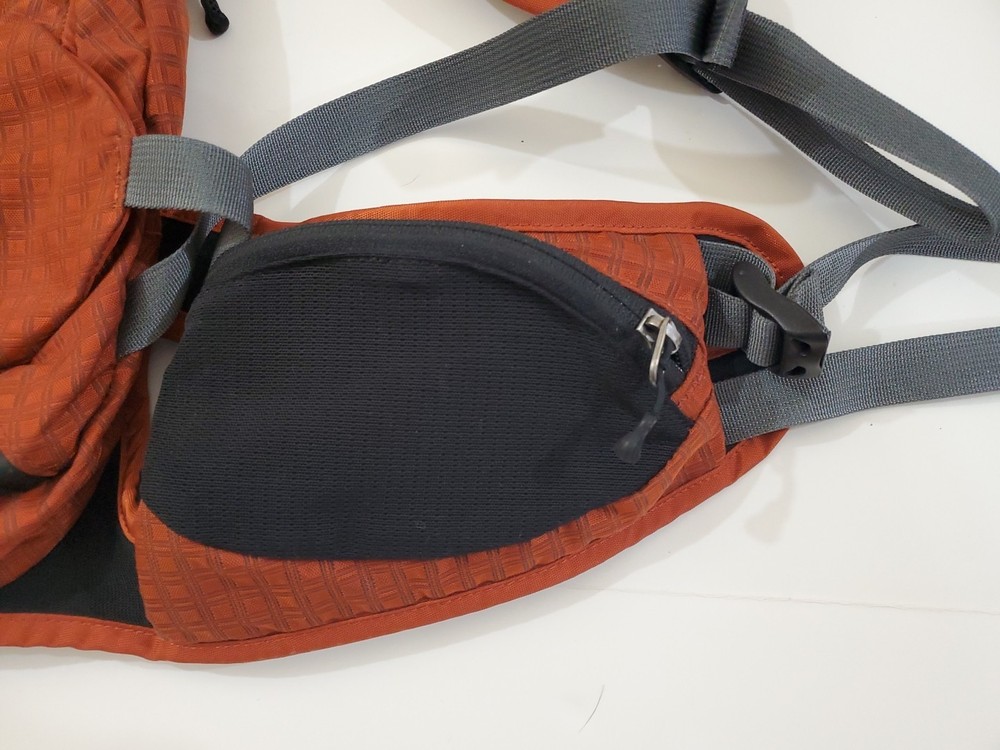 Patagonia Endurance Pack Orange Hydration Daypack Backpack