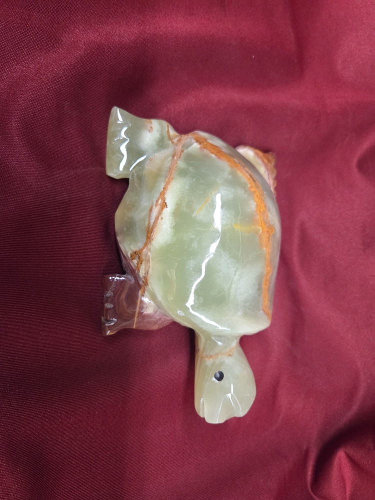 Animal 6 Inch Turtle Onyx-