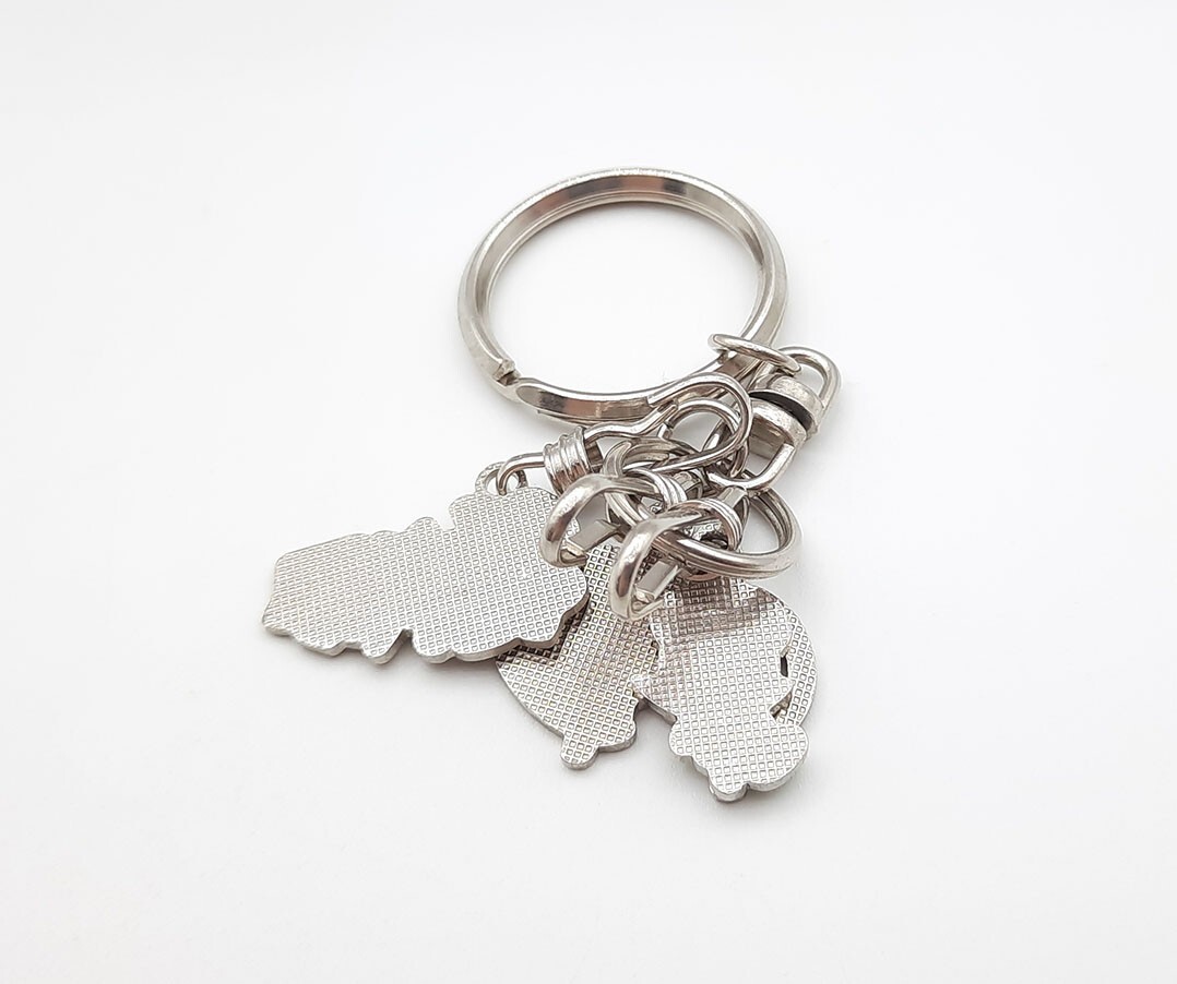 Pokemon 4Ever Celebi Suicune movie metal keychain charm set 1" Japan