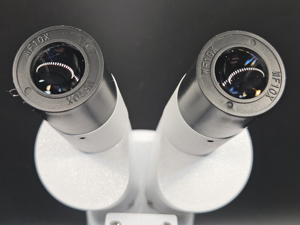 Entry Level Microscope with 20x magnification and light