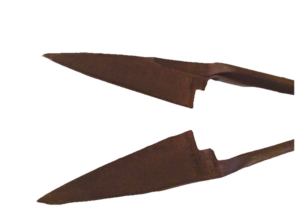 Vintage Sheep Shears