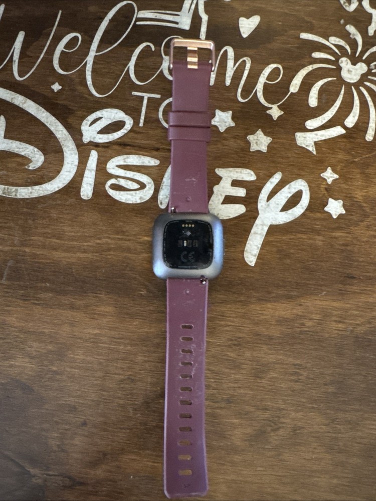 Fitbit Versa 2 Activity Tracker - Stone/Mist Gray