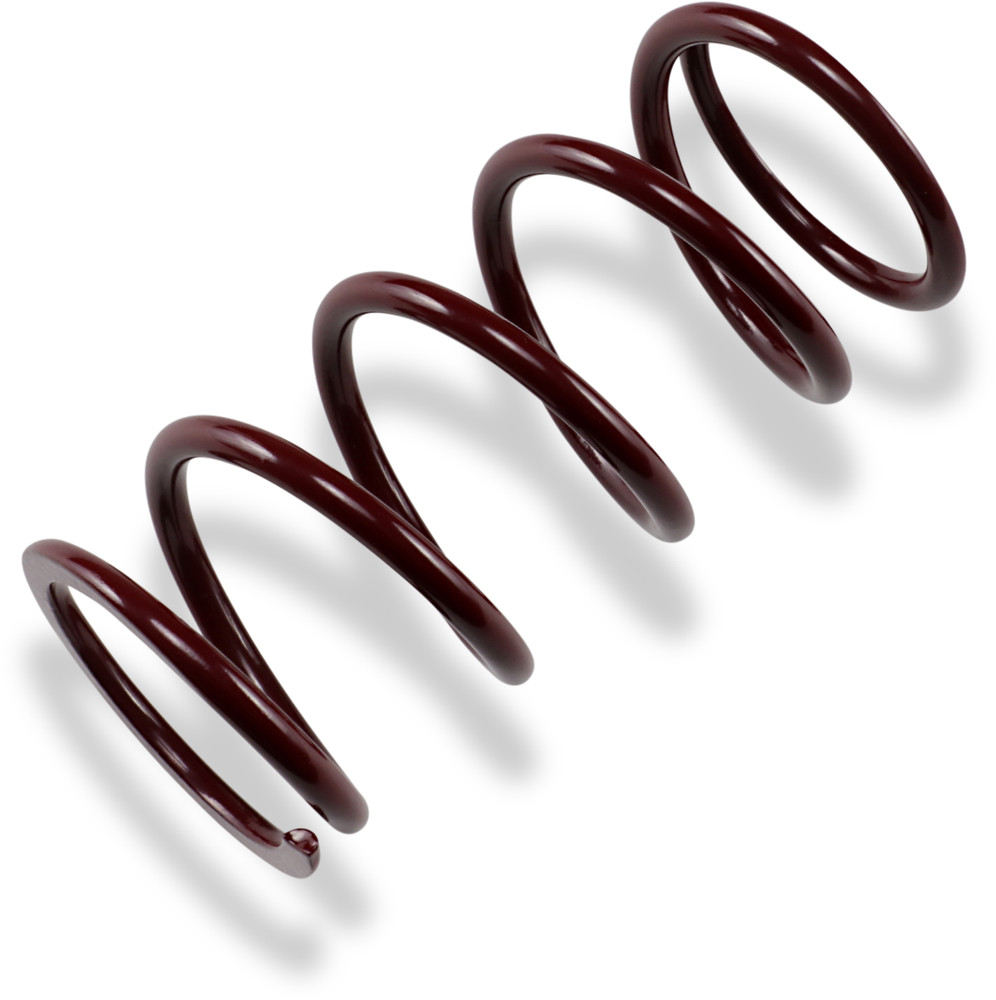 Epi Primary Clutch Spring Ps14