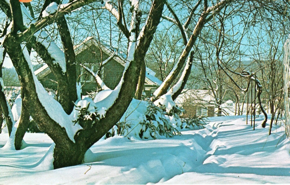 GREETINGS FROM WISCONSIN - PC1647