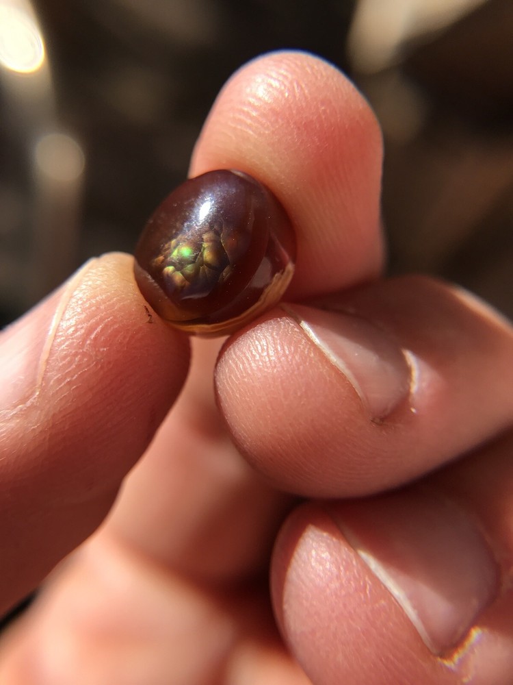 Deer Creek Fire Agate Cabochon