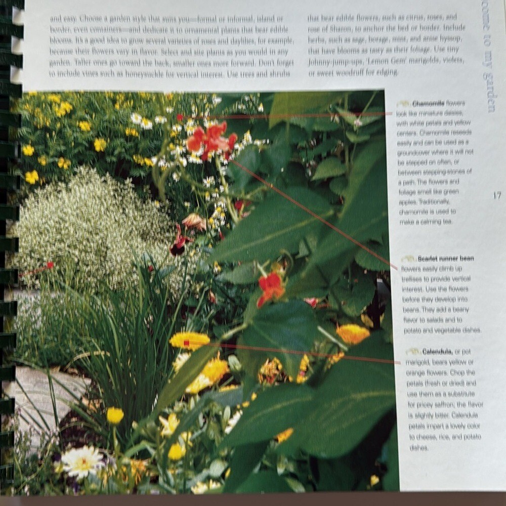 Better Homes And Gardens Step-by-Step Yard & Garden Basics Reference Book