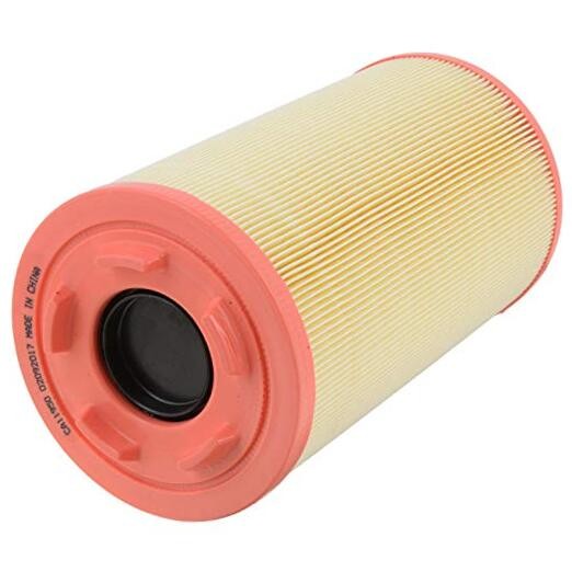 Extra Guard CA11950 Replacement Engine Air Filter for Select Ram One Size