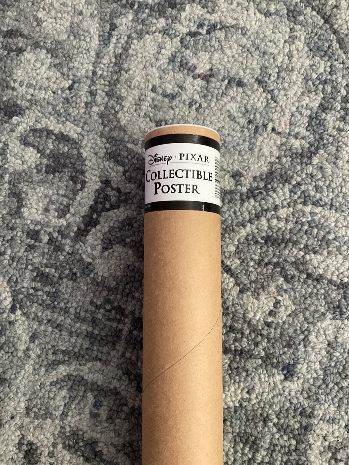 PIXAR disney 10 movie poster Toy Story Finding Nemo Incredibles Up a Bugs Life