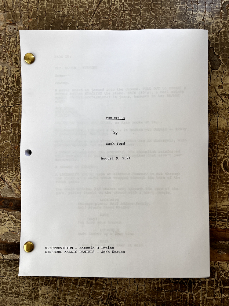 Unproduced Screenplay For Sale - Feature Length! $175K (full description below)