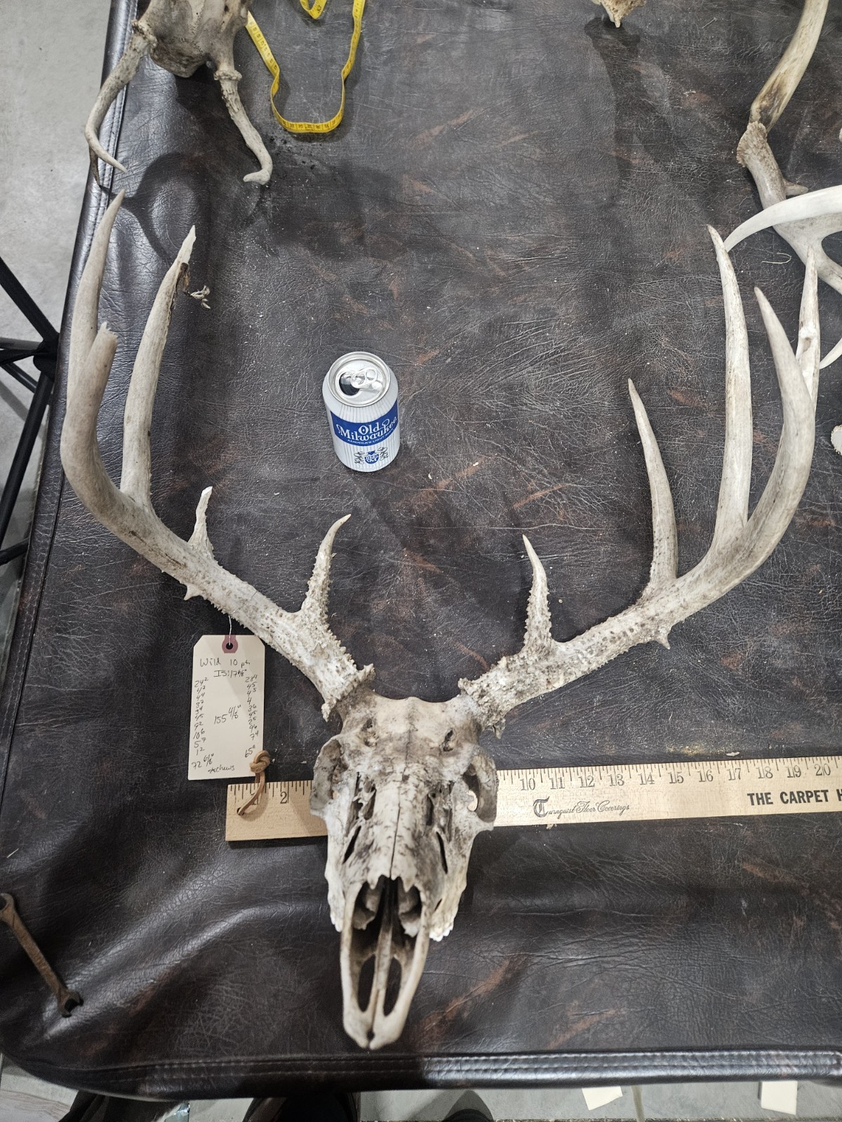 Wild 10 Point Whitetail Deer Antler Rack Horn European Skull Mount Man Cave 155"