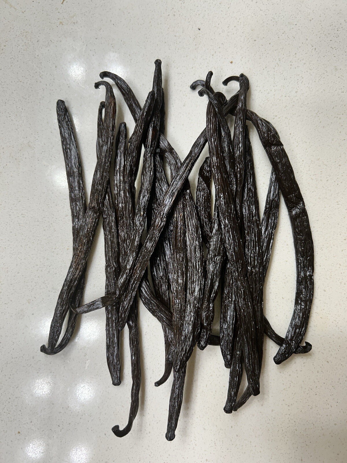 Vanilla Beans 1 lb, Planifolia grade A, free advise from Ph.Ds ; ORGANIC