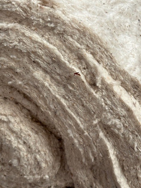 27” Upholstery Cotton Batting Cushion 16 oz Upholstery Padding ~ 10 yard Bale